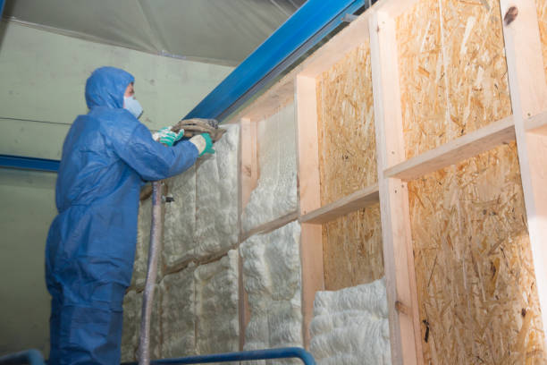 Best Insulation Inspection Services  in Thorsby, AL