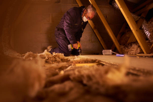 Best Insulation Removal Services  in Thorsby, AL